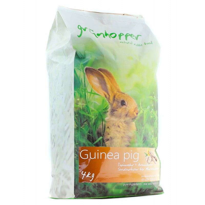 guinea pig grünhopper