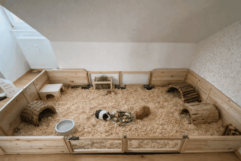 Kltnges meeresgshwtnch, hochwertiges Gehege mit Holz, Stall, Zubehör, für Meerschweinchen.