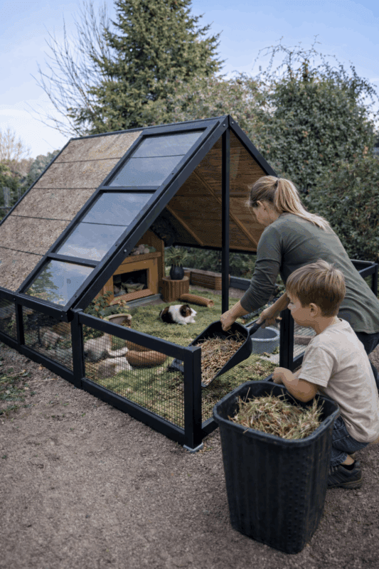 Hochwertiges Meerschweinchenstall mit Veranda und Freilaufgehege, ideal für glückliche Meerschweinchen.