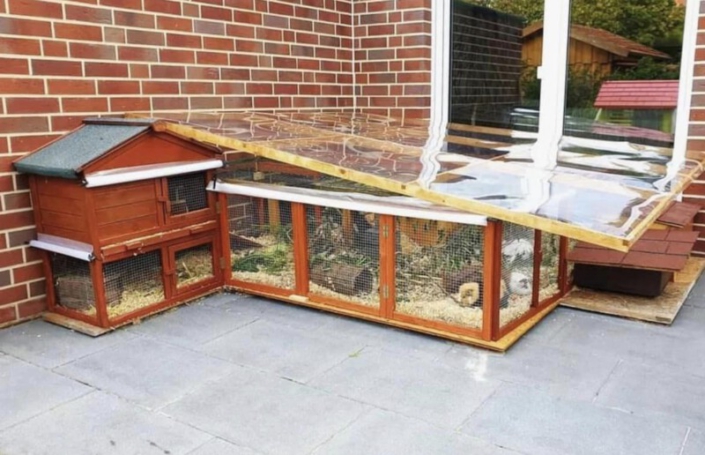Meerschweinchen Stall Bauen