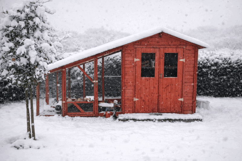 Stall für Meerschweinchen im Winter, wetterfester Schutz, robustes Holzhaus, Schneelandschaft, Heim für Nagetiere, tiergerechte Unterkunft.