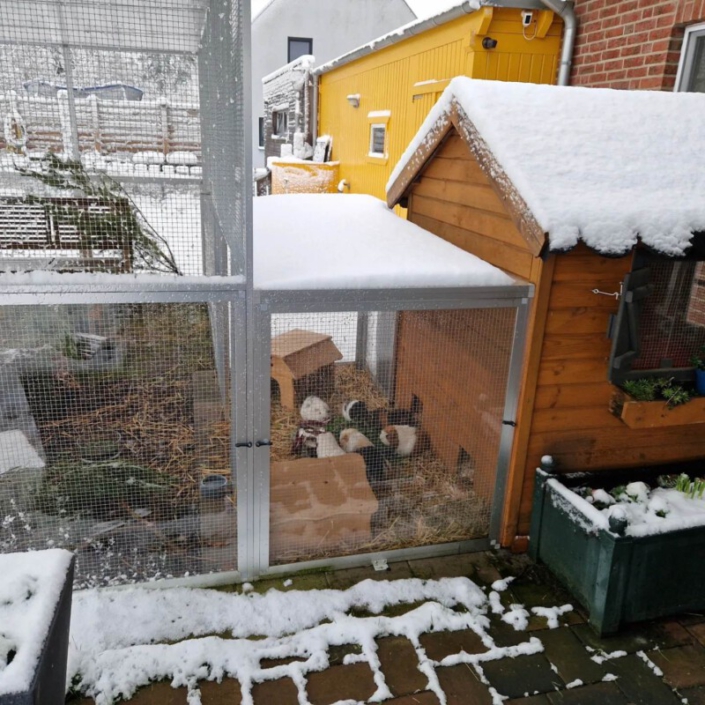 Meerschweinchen Schutzhutte Winter Kaufen